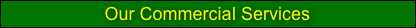 Our Commercial Services